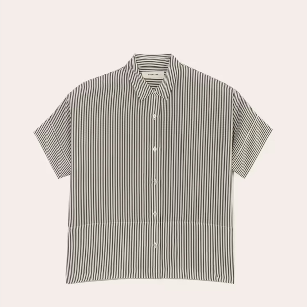 Everlane The Boxy Shirt - 100% Silk